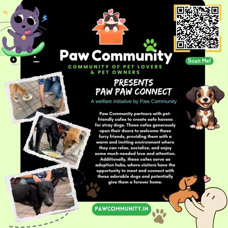 Instagram post from pawcommunity.in. This post is in position 3.