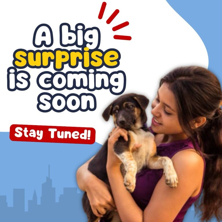 Instagram post from pawcommunity.in. This post is in position 2.