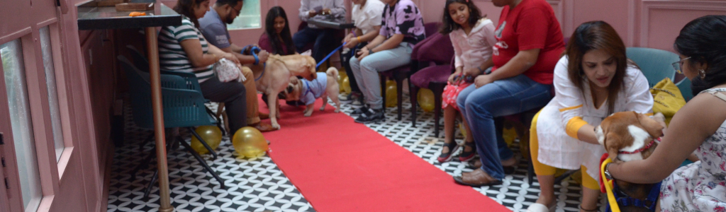 Community of pet lovers & Pet parents (1)